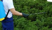 ClearZone™ Mosquito Yard Treatment