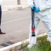 Eco-Friendly Mosquito Control