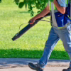 Mosquito Control Solutions for Families and Pets
