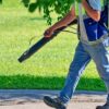 Mosquito Control Solutions for Families and Pets