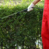 Mosquito Yard Treatment