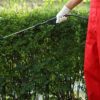 Mosquito Yard Treatment