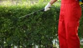 Mosquito Yard Treatment