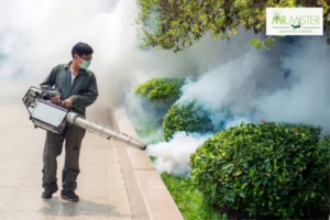 Mr. Mister technician spraying treatment in a plaza