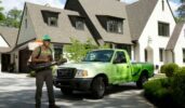 Mr. Mister Mosquito Control
