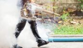 Backyard Mosquito Solutions from the Pros