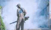 Mosquito Control Solutions for Offices, Restaurants, and Hotels
