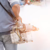 Mosquito Pest Control Spraying