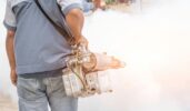 Mosquito Pest Control Spraying