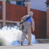 Everything to Know About Local Mosquito Control Services