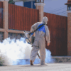 Everything to Know About Local Mosquito Control Services